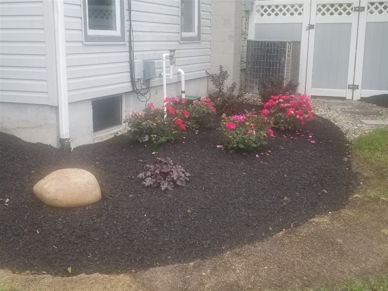 Mulch bed and plantings lawn care South Jersey